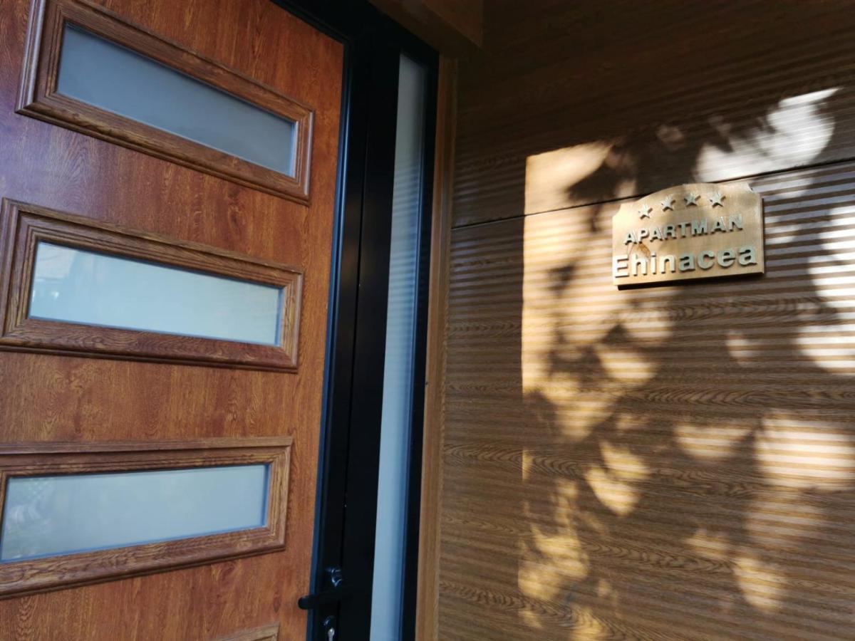 Apartament Ehinacea Rtanj Zewnętrze zdjęcie