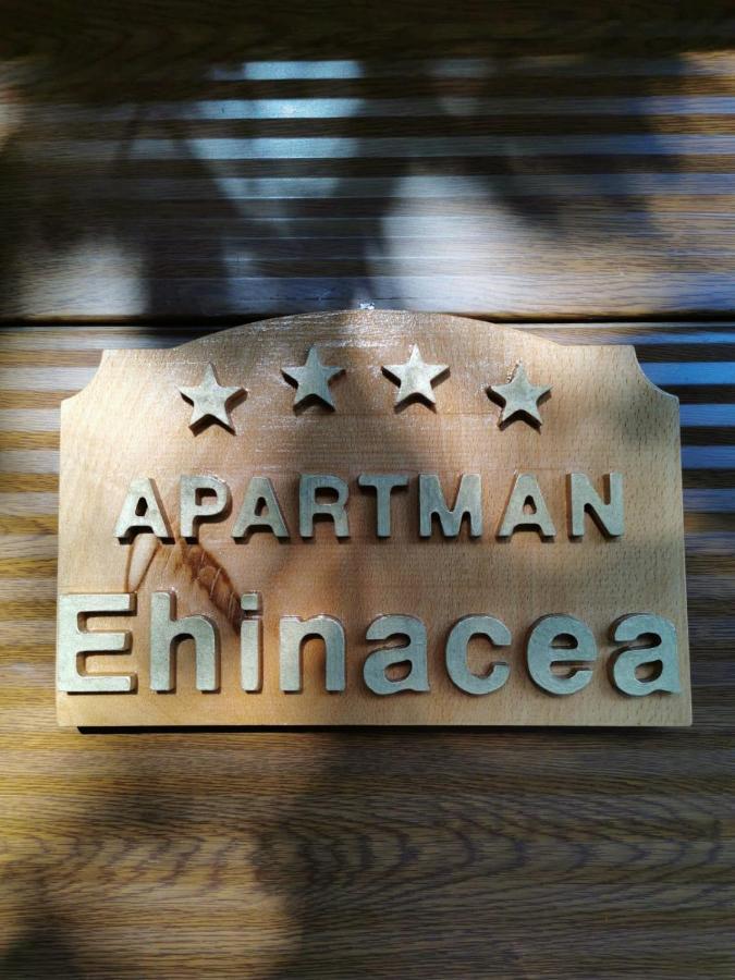 Apartament Ehinacea Rtanj Zewnętrze zdjęcie